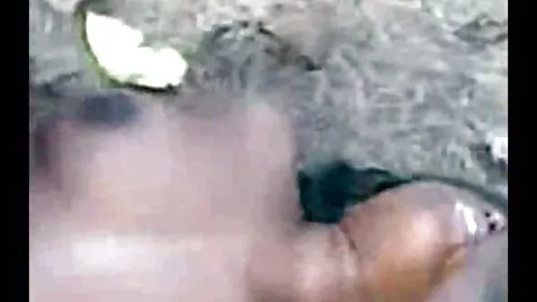 Kuti himuline lits ärkas seksima ja seks porno wideo ronis talle peale.