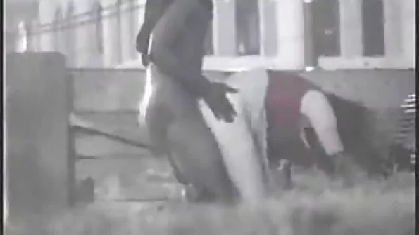 Kaamera filmis ilusa komik seks porno tibi tänavapere võõra mehega.