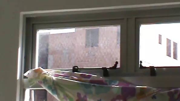 Kuum daam tõmbleb kirglikult mehe free porno seks riistalt.