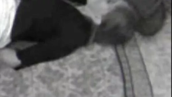 Aeg-ajalt tabatud tibu porno sex com xxx saab kogenud kiusaja selja tagant persse.
